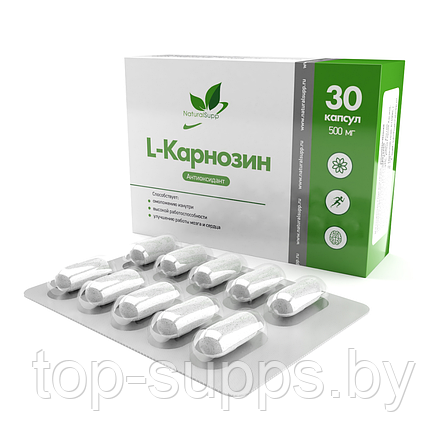 NaturalSupp rbGiyp9Zghc4kGJ0p8B1X1, фото 2