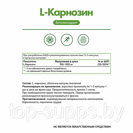 NaturalSupp rbGiyp9Zghc4kGJ0p8B1X1, фото 2