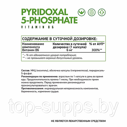 NaturalSupp 55MN25N6jXuq63HzZoG-J0, фото 2