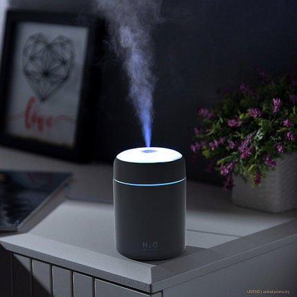 Увлажнитель, ультразвуковой, 0.3 л, 2 Вт, подсветка, USB, фото 2
