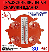 Термометр уличный "Божья коровка"