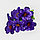 Букет Клематис резной (ритуальный) цвет ассорти, фото 2