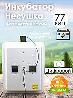 Инкубатор Несушка-77-ЭА+12В н/н 63