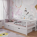 Кровать-тахта "Ростик" с ящиками (80х160,80х180, 80х190, 90х190, 90х200 см) Березовая фанера, фото 2