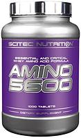 Аминокислоты Amino 5600 Scitec Nutrition, 1000 таб.