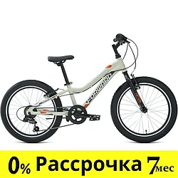 Детский велосипед хардтейл  Forward TWISTER 20 1.0 (10 quot; рост) серый/оранжевый 2022 год (RBK22FW20042)