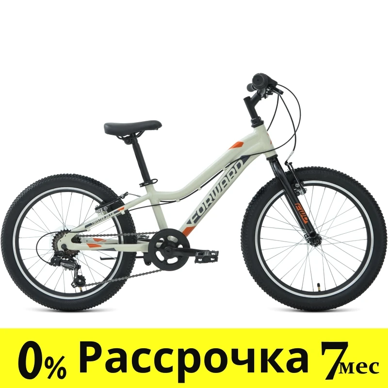 Детский велосипед хардтейл Forward TWISTER 20 1.0 (10 quot; рост) серый/оранжевый 2022 год (RBK22FW20042) - фото 1 - id-p218668059