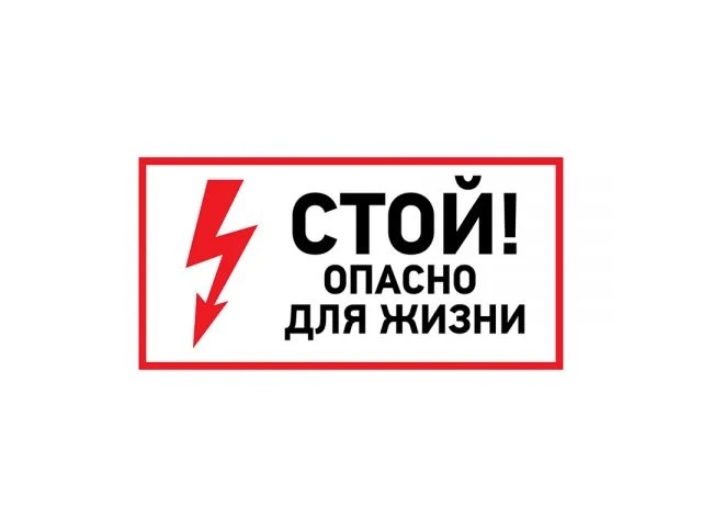 Наклейка знак электробезопасности 100х200 мм REXANT - фото 1 - id-p197449446