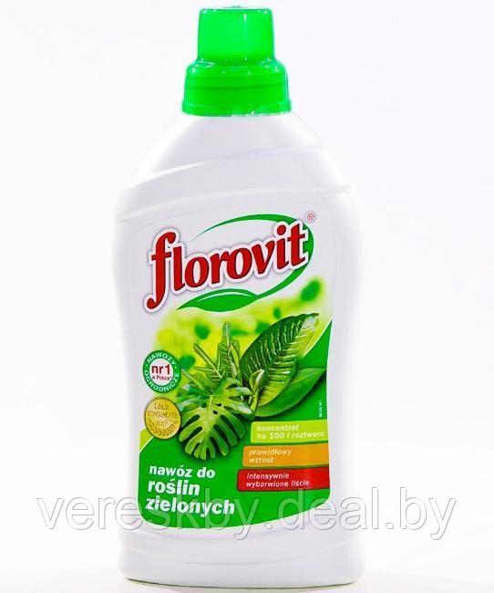 Удобрение "Флоровит" жидкое для лиственных растений 0,25 кг - фото 1 - id-p195498946