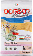 Сухой корм для собак Adragna Dog&Co Puppy Medium/Maxi Chicken&Rice
