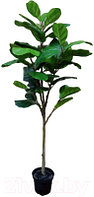 Искусственное растение ForGarden Ficus Лирата / BN10796
