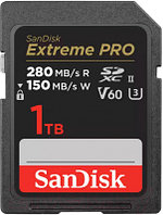 Карта памяти SanDisk Micro SDXC 1TB UHS-II (SDSDXEP-1T00-GN4IN)
