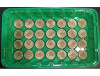 Минипарник под торфяные таблетки 41-44 мм 28 ячейки