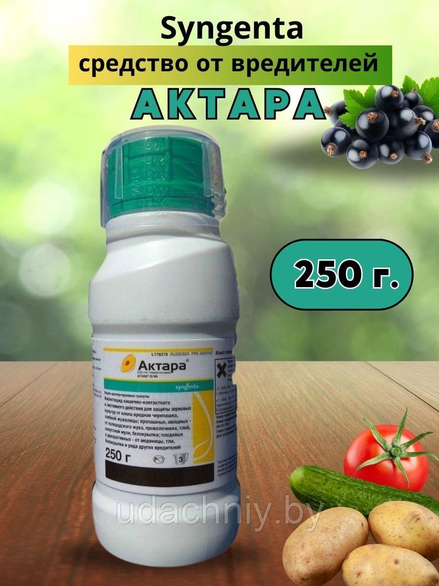 Инсектицид Актара. 250 г. - фото 1 - id-p99086437