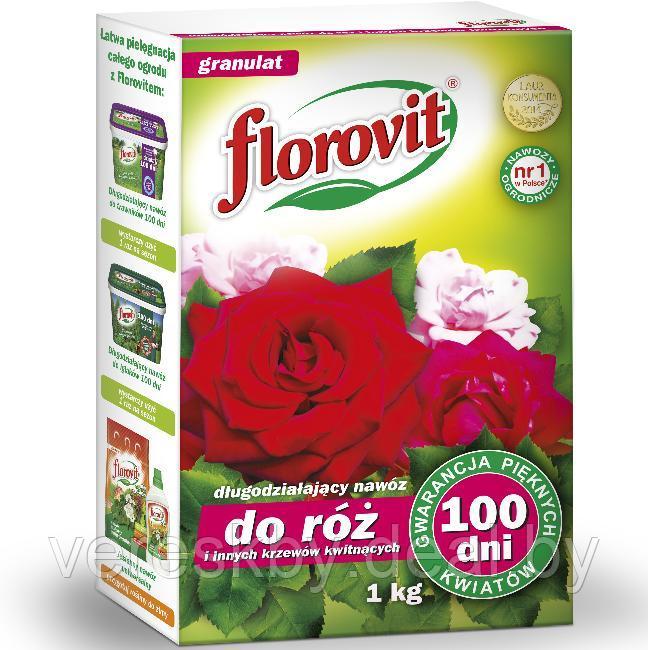 Удобрение Флоровит для роз и декоративно-цветущих кустар. длительного действия 100дн. 1 кг - фото 1 - id-p195498842