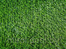 Искусственная трава Greenery Lawn SALG-2516 25мм