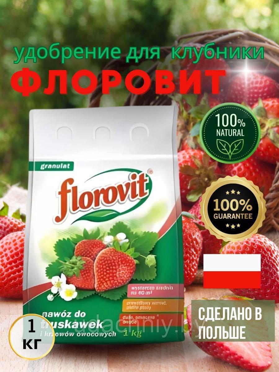 Удобрение Флоровит для клубники и земляники. 1 кг.