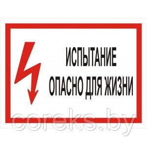 Наклейка "Испытание опасно для жизни" (размер 210*280 мм)