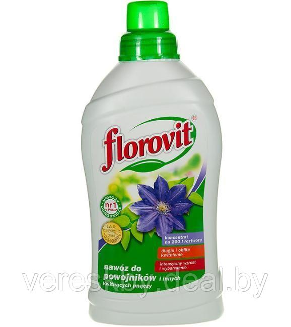 Удобрение "Флоровит" для клематисов и др.цветущих 1кг - фото 1 - id-p195498492