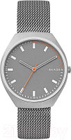 Часы наручные мужские Skagen SKW6387