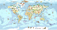 Фотообои листовые Citydecor Детская Карта мира 343