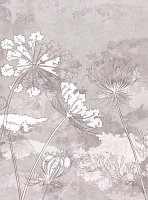 Фотообои листовые Vimala Полевые цветы 2