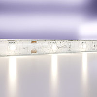 Светодиодная лента Maytoni Led Strip 10164, 24В, 5 м, IP65, 5050, 7,2 Вт/м, 10х2,3, 4000К, монохром