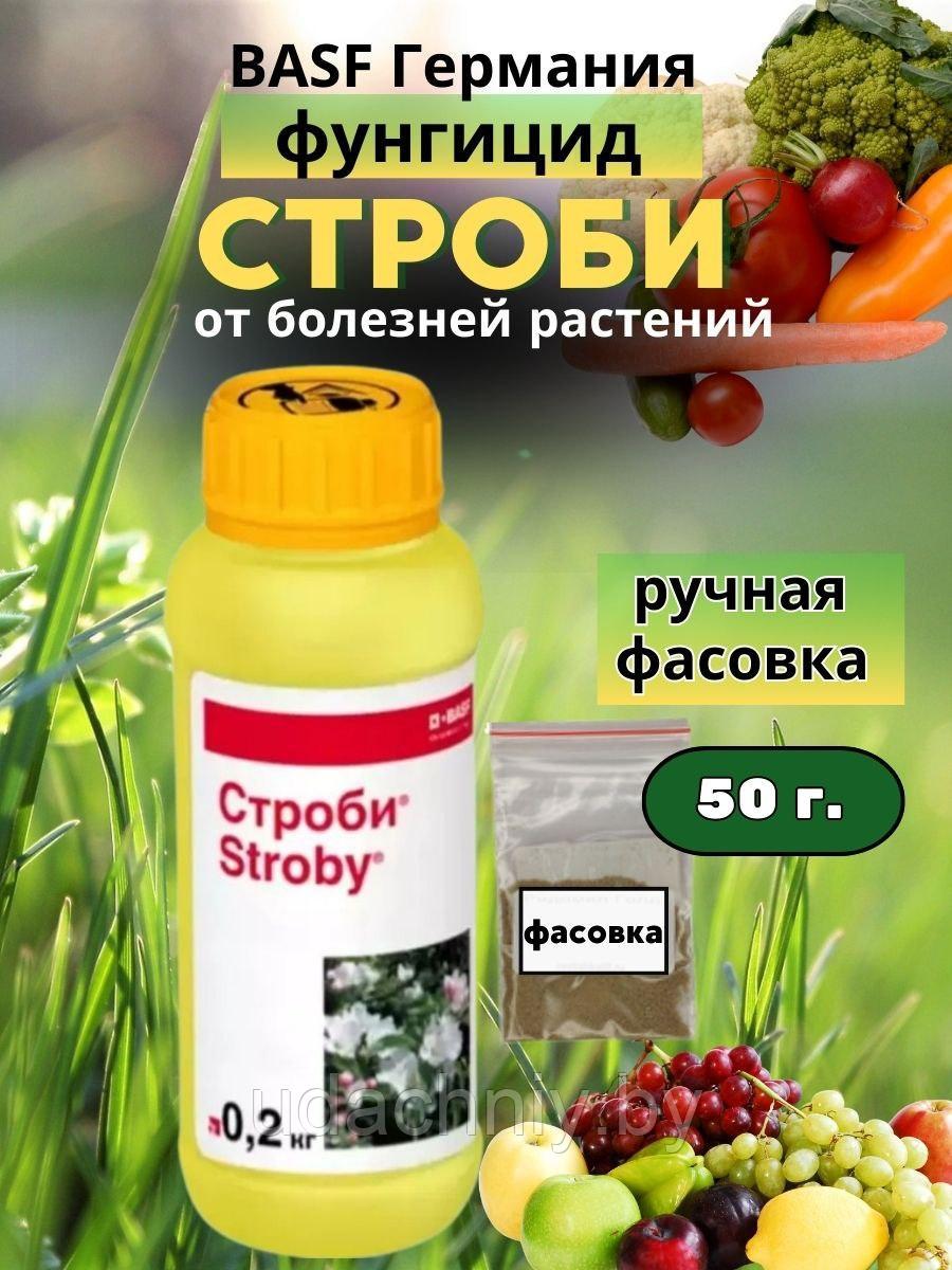 Средство от болезней (фунгицид) Строби 50 г