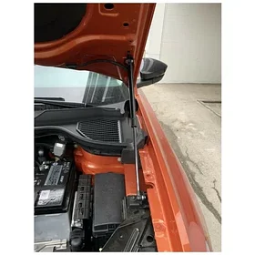 Амортизаторы капота  VW Taos  2GU823359