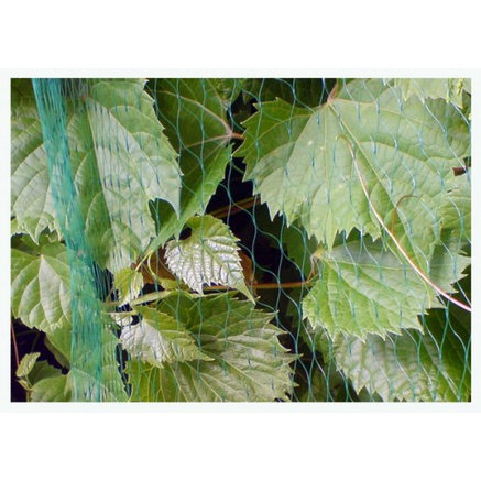 Сетка из пластмассы, размер ячейки 19х19мм, в рулоне, длина 10м, ширина 5мAS-BN71919510, фото 2