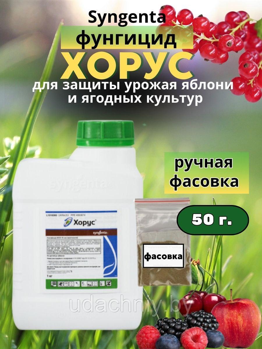 Средство от болезней (фунгицид) Хорус. 50 г.