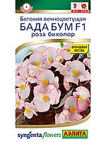 Бегония Бада бум F1 роза биколор вечноцветущая 5шт Одн Комн 20см (Аэлита)