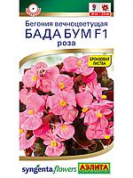 Бегония Бада бум F1 роза вечноцветущая 5шт Одн Комн 20см (Аэлита)