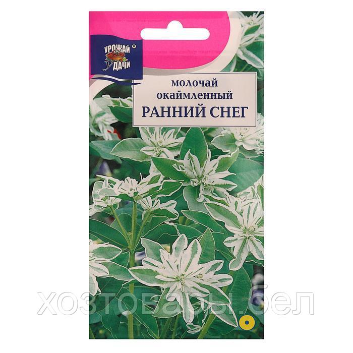 Молочай окаймленный Ранний снег 0,2 г