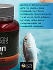 Lion Baits Impact Boilie Dips мотыль (Bloodworm) - 130 мл, фото 3