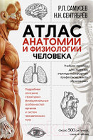 Атлас АСТ Атлас анатомии и физиологии человека