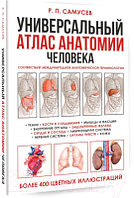 Книга АСТ Универсальный атлас анатомии человека