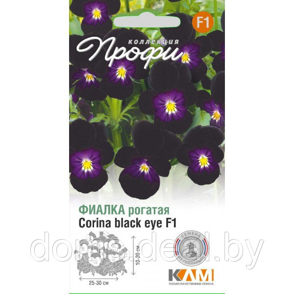 Фиалка (виола) рогатая Corina black eye F1, 10шт, Нидерланды Hem Genetics Corina black eye F1 - фото 1 - id-p165373123