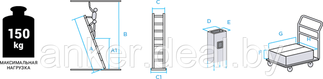 Схема: Лестница алюминиевая приставная NV 1210