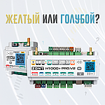 Желтый или голубой?