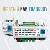 Желтый или голубой?