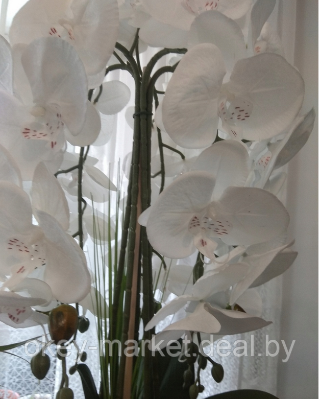 Цветочная композиция из орхидей в горшке 90 см - фото 9 - id-p169210207