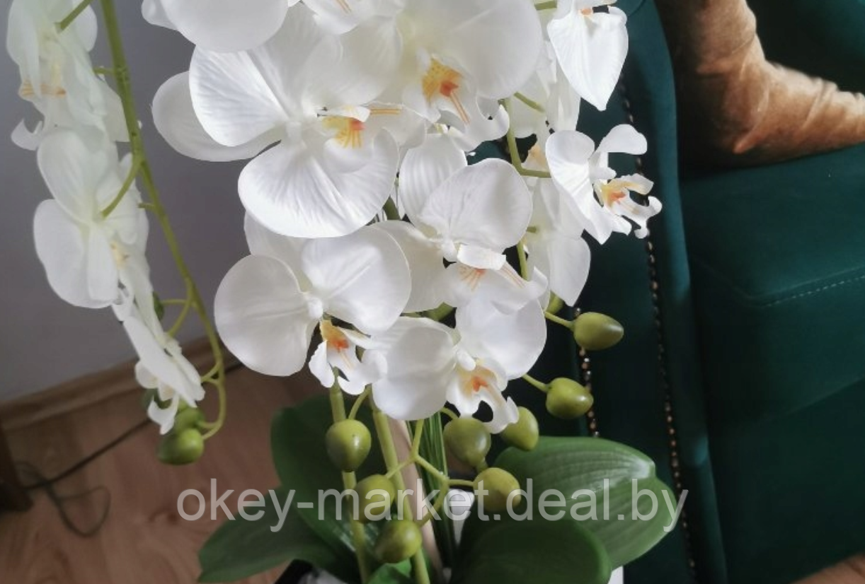 Цветочная композиция из орхидей в горшке 90 см - фото 10 - id-p169210207