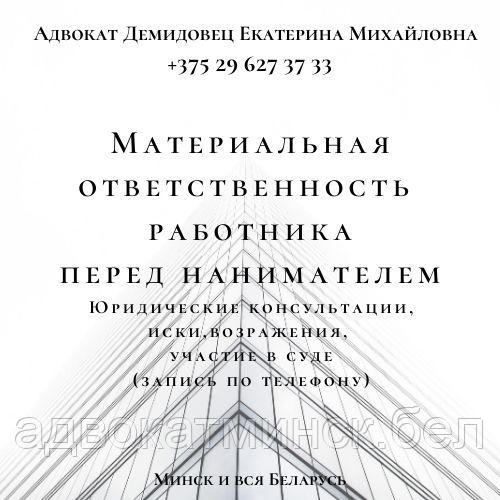 Адвокат Демидовец Е.М.по трудовым спорам. ОТЗЫВЫ в интернете, опыт работы более 24 лет.