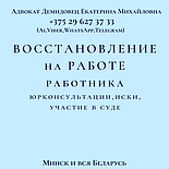 Адвокат Демидовец Е.М.по трудовым спорам. ОТЗЫВЫ в интернете, опыт работы более 24 лет., фото 4