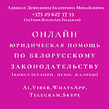 Юридическая помощь в исполнительном производстве. Адвокат  Демидовец Е.М., опыт работы более 24 лет., фото 5