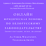 Адвокат Демидовец Е.М. ВЕДЕНИЕ ДЕЛ В СУДАХ по гражданским, уголовным, административным делам., фото 8