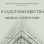 Юридическая помощь в исполнительном производстве. Адвокат  Демидовец Е.М., опыт работы более 24 лет., фото 10