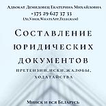 АДВОКАТ Демидовец Е.М. - представитель юрлиц и ИП по спорам в экономических судах, фото 3