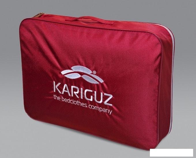 Спальная подушка Kariguz Элегантная Классика ЭКл12-5 (68x68 см) - фото 3 - id-p227213342